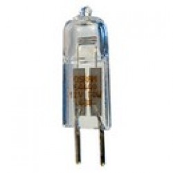 Flashlight Replacement Bulbs